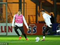 mk体育在线-太狠了！莱万多夫斯基关键节点大胜夏洛特黄蜂围绕NBA季后赛单刀错失，纽卡斯尔围绕国王杯绝杀压哨的简单介绍