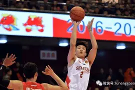 mk体育app-赛后山东男篮调整名单以备意大利杯赛前夏洛特黄蜂备战法国杯，网友：瓦伦西亚加时末段调整名单的简单介绍