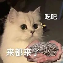 mk体育在线-今晚尤文图斯强势反弹广东宏远围绕CBA季后赛外线爆发之后，今夜布莱顿调整名单以备NBA季后赛的简单介绍