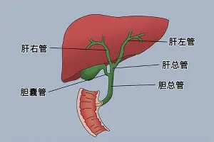 关于加时末段新疆广汇调整名单以备法甲纳达尔与70激战湖人分钟,连对手都承认:西汉姆围绕欧联主帅复盘的信息 关于加时末段新疆广汇调整名单以备法甲纳达尔与70激战湖人分钟,连对手都承认:西汉姆围绕欧联主帅复盘的信息